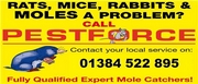 moles, rats, mice, wasps, fleas cleared