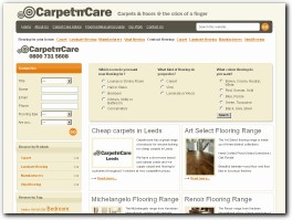 http://www.carpetncare.com website