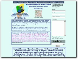 http://www.carpetcleaningsc.com/ website