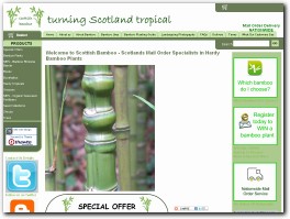 http://www.scottishbamboo.com website