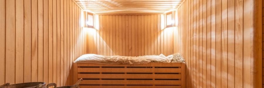 laat staan Volharding het doel Top 10 Sauna Brands in the World Right Now