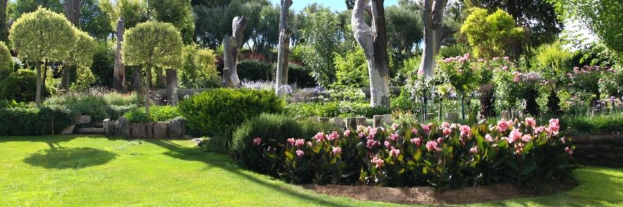 Garden Maintenance Activities Every Homeowner Needs to Consider