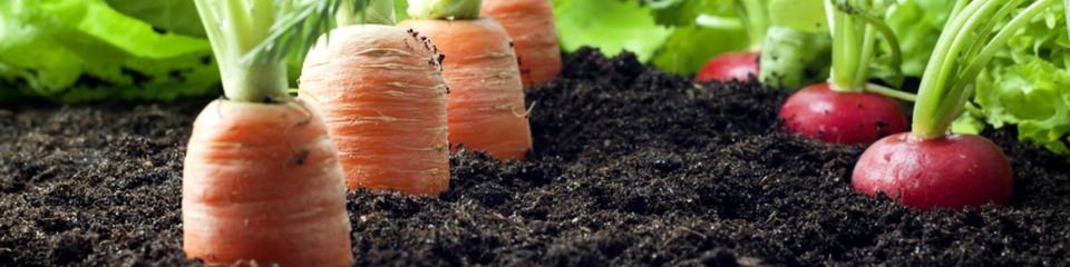 compost