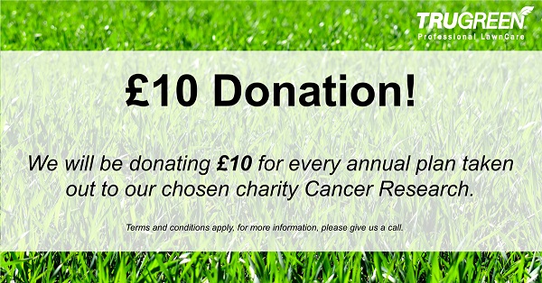 cancer research offer