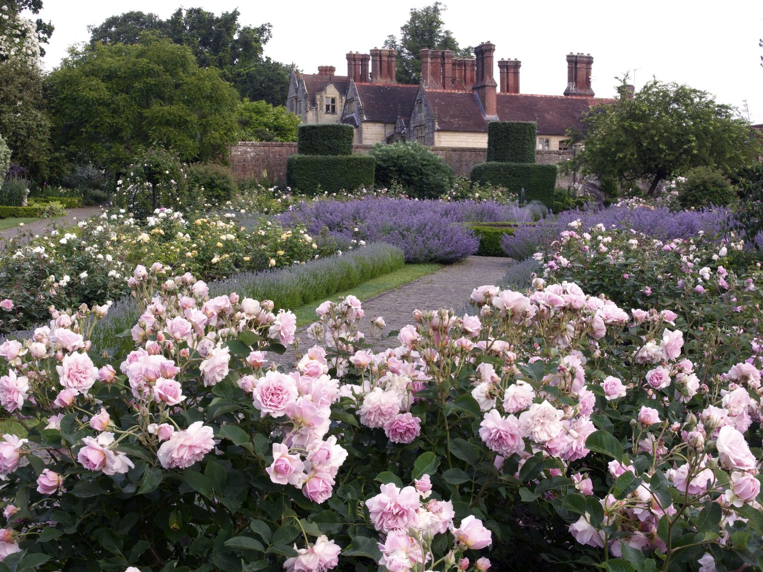 Borde Hill
