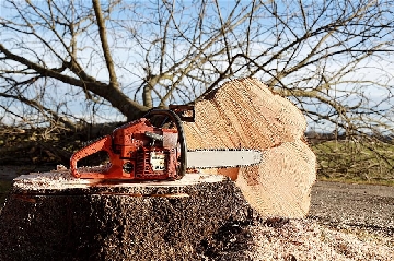 Tree Chainsaw