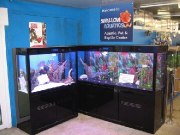 swallow aquatics aquariums