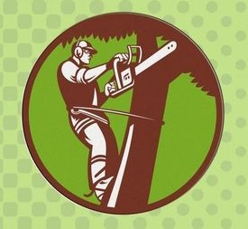 Tree Surgeon Gloucester Logo