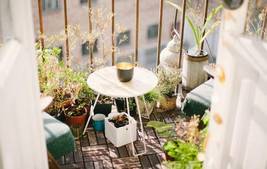 The Best Plants for Small Urban Gardens and Balconies