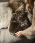 Rarebreed British Sheepskin Rug