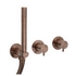 2 Outlet Brushed Bronze Thermostatic Shower Valve with Shower Handset and Hose