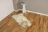 Rare Breed Sheepskin Rug RBS791