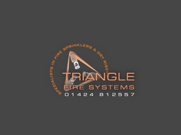 https://www.trianglefiregroup.co.uk/ website