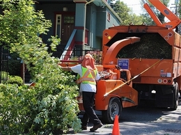 https://www.treeservicekansascitypro.com/ website