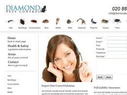 https://diamondpestcontrol.co.uk website