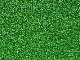 https://www.zestartificialgrass.co.uk/ website