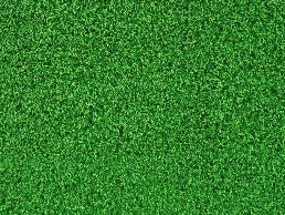 https://www.zestartificialgrass.co.uk/ website