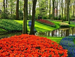 https://plantsman.io/ website