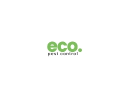 https://www.ecopestcontrolbrisbane.com.au/ website