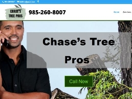 https://treeremovalslidell.com/ website