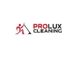 https://www.proluxcleaning.co.uk/ website