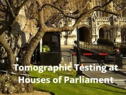 https://www.treetesting.com/ website