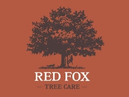 https://redfoxtreecare.co.uk/ website