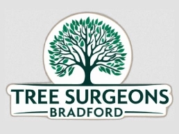 https://www.treesurgeonsbradford.co.uk/ website