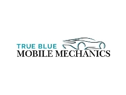 https://truebluemobilemechanics.com/Sydney/ website