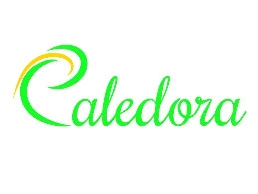 https://caledora.glass/ website