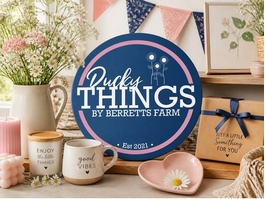https://duckythings.co.uk/ website