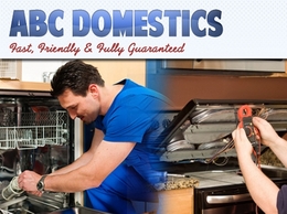 https://www.abc-domestics.co.uk/ website