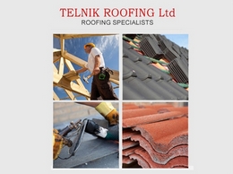 https://www.telnikroofing.co.uk/ website