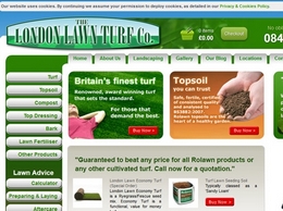 https://www.londonlawnturf.co.uk/ website