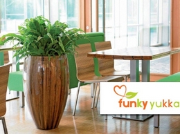 https://www.funkyyukka.co.uk/ website