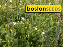 https://www.bostonseeds.com/ website