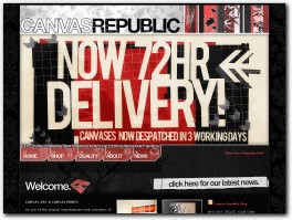 https://www.canvasrepublic.com/ website