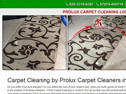 https://www.proluxcleaning.co.uk/ website