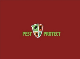 https://www.pest-protect.co.uk/ website