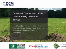 https://www.dcmpestcontrol.co.uk/ website