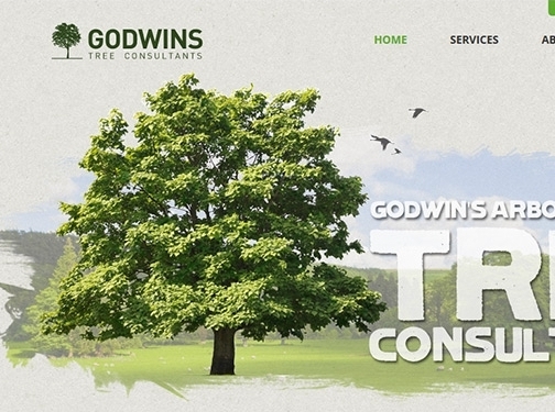 https://www.godwins.co.uk/ website