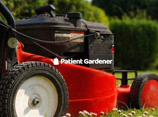 https://patientgardener.co.uk/ website