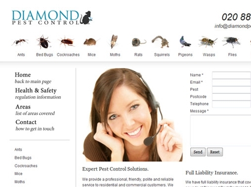 https://diamondpestcontrol.co.uk website