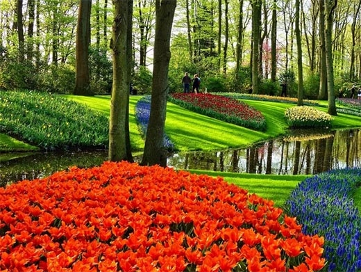 https://plantsman.io/ website