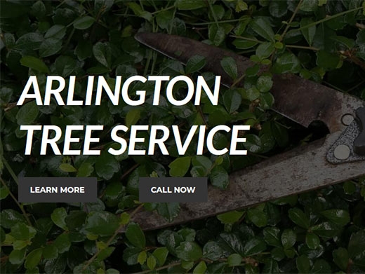 http://www.arlingtontreeservices.com/ website