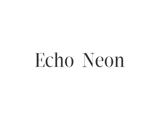 https://www.echoneon.com/ website