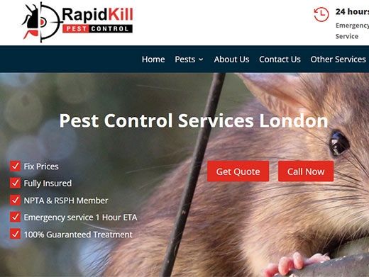 https://rapidkillpestcontrol.co.uk/ website