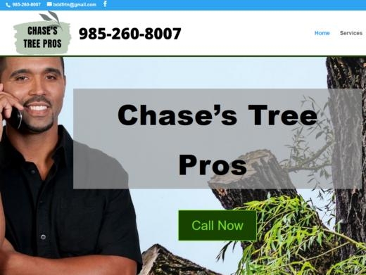 https://treeremovalslidell.com/ website