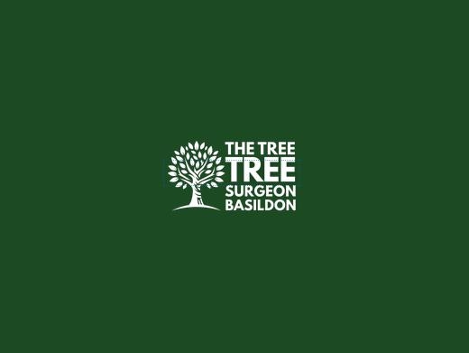 https://www.basildontreesurgeon.co.uk/ website