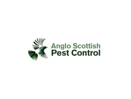 https://anglopestcontrol.scot/ website